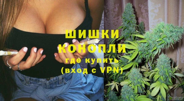 ГАЛЛЮЦИНОГЕННЫЕ ГРИБЫ Покровск